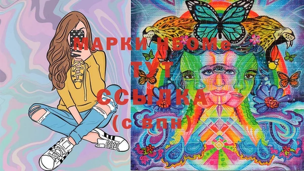 PSILOCYBIN Армянск