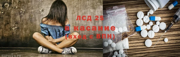 мяу мяу мука Аркадак