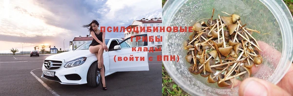 PSILOCYBIN Армянск