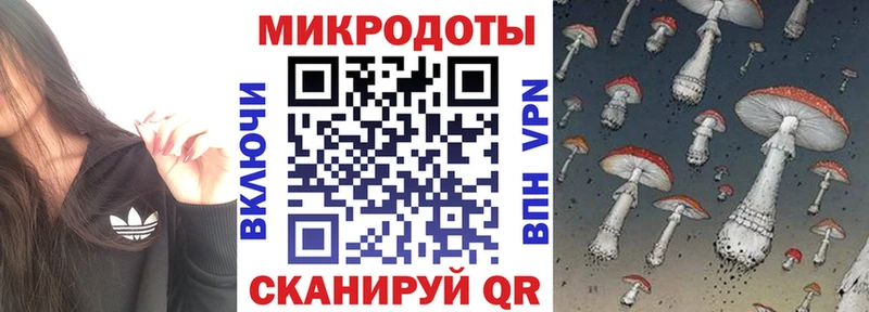 Купить где  Луза  Псилоцибиновые грибы ЛСД 