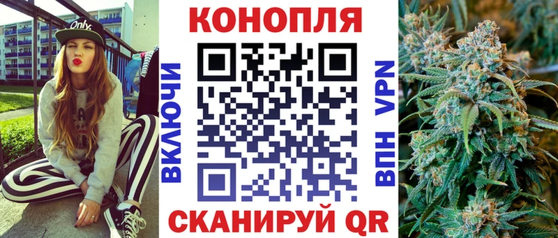 Купить где Луза Конопля AK-47